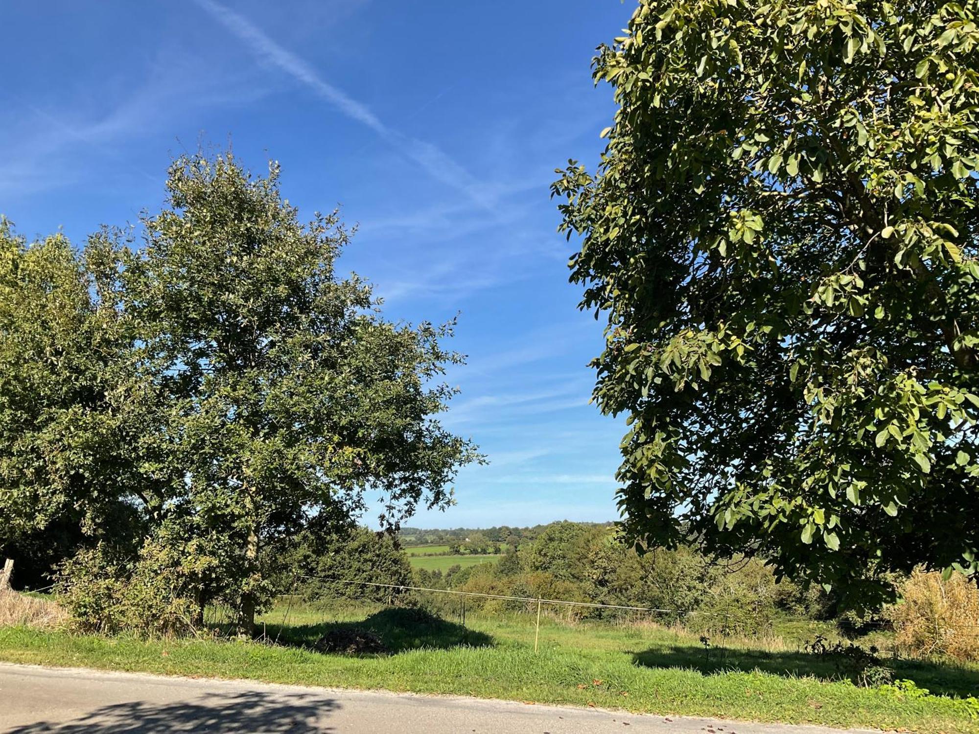 Saint-Pierre-du-Chemin La Brionniere B&B 외부 사진